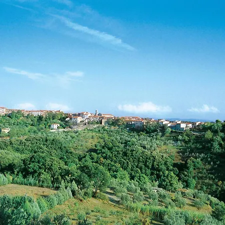 Il Felciaione-14 By Interhome Appartamento